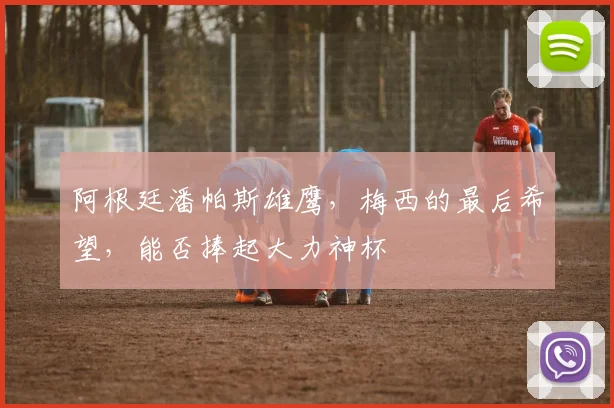 阿根廷潘帕斯雄鹰，梅西的最后希望，能否捧起大力神杯