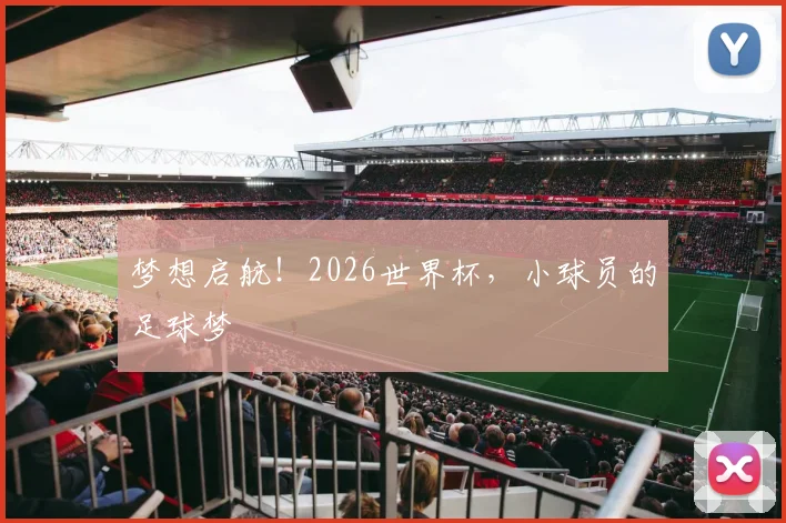 梦想启航！2026世界杯，小球员的足球梦